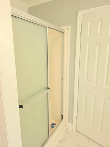 Master Shower
