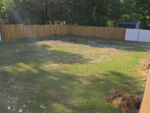 Huge Backyard